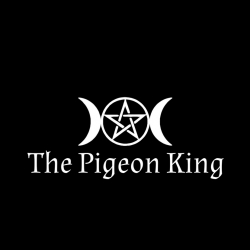 The Pigeon King Profile Picture