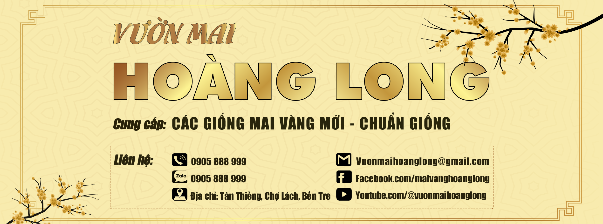 Vườn mai Hoàng Long chuyên cung cấp các giống mai mới độc lạ