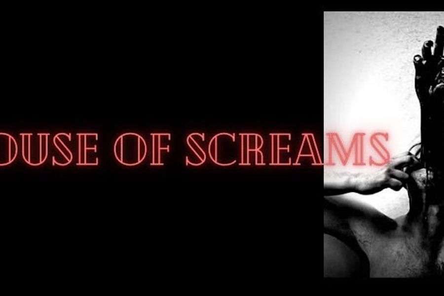  Screams from being spanked unmercifully. Screams from being fvcked hard. Screams from pleasure and pain. The type of scream that catches the attention of the entire room and makes everyone tune in. Do you want to scream or make someone scream? Take my hand. Take this ride with us. <br> <br>House of Screams is a seated show with strong elements of Horror, Burlesque, Blood, Rope Suspension, Needle Play, BDSM, and Club Kid Performance. This is the real deal. Fluff shows are cute but not exciting enough for us. <br> <br>Get ready for a spine-chilling night! Join us for the most thrilling Halloween event of the year, where screams and excitement await. Immerse yourself in a world of S&M fantasies and let Venus Cuffs guide you through a night of tantalizing terror. With heart-pounding performances, daring costumes, and a sexy atmosphere, this in-person event will leave you begging for more. Don't miss out on this unforgettable Halloween experience! <br> <br>21+ Only with proper ID. <br> <br>Toy Giveaways provided by Unbound. <br> <br>:::: WHAT TO WEAR :::: <br> <br>F*tish Fashion · Kink Chic · Hedonistic Haute · Latex, Leather, Lace, Lingerie · Queer Couture · Sensual Silk· Nearly Nude · Femme Domme Daddy. Daring Drag · Straps and Ropes · Body and Bondage · <br> <br>::: CONTENT WARNING ::: <br> <br>The performances and acts of artistic expression at Venus Cuffs’ Events may include portrayals of explicit actions, theatrical violence, bodily harm and physical risk that is often found in circus, sideshow or f*tish performance art. The performances will explore adult subject matter. We understand that these acts are not for everyone, so please use your own discretion. <br> <br>* * * SAFER SPACES POLICY * * * <br> <br>Venus Cuffs’ Events are safer spaces for everyone to feel welcome. House safe words are in effect for this event. We have a zero tolerance policy for harassment, unwanted touch, and discrimination. Always ASK before touching anyone at our events. If someone is making you uncomfortable, speak to a security guard or ask for a manager. We will believe you, and we will help. All restrooms are gender neutral. The entrance to the venue is ADA accessible. Strobe lights my be used during performances. <br> <br>All sales are final. <br> <br>Keep up with Venus Cuffs by visiting venuscuffs.com. 